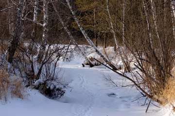 The frozen bed of a small river Kislovka near the city of Tomsk in Russia