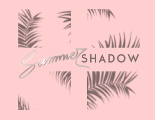 Fototapeta na wymiar Palm tree shadows. Vector illustration