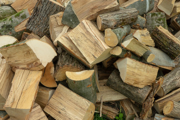 stack of firewood beech and hornbeam, northern balkans