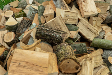 stack of firewood beech and hornbeam, northern balkans