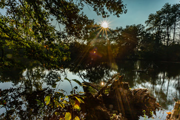 Sonnenstern mit Teich im Herbst