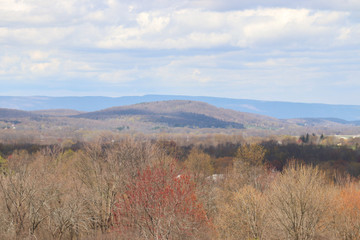 fields and blue mountains in the distance with white puffy clouds in the sky