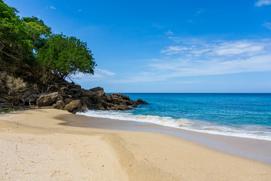 Tropical seascape - view of "Mono  Manso" beach (Chuspa, Vargas, Venezuela).
