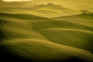 Grüne Hügellandschaft Crete Senesi in der Toskana
