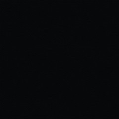 Black snake skin pattern