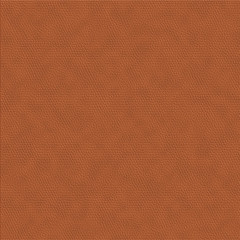 Snake skin background