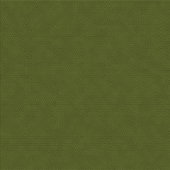 Snake skin background
