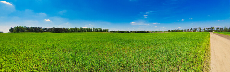 Obraz premium Wiejskie tereny. Pola uprawne