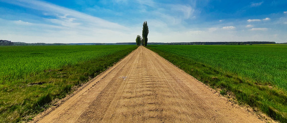 Droga wiejska przez pola  © michalsen