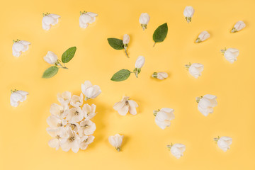 Falling white flowers of spring flowers on a yellow background Spring flowers background for projects