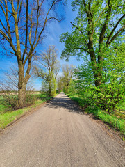 Obraz premium Wiejska droga 