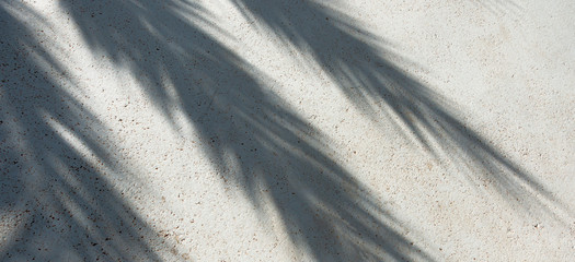 Shadows palm leaves on beige concrete rough texture background