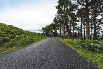 Fototapeta premium Wicklow Military Road in Ireland. Irish landscape. Empty road in the mountains. The Wicklow Mountains view in Ireland. Irish landscape. Green dark view.