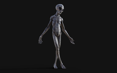 3d Illustration of a gray alien on dark background with clipping path.