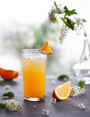 Refreshing drink with ice from orange juice in a glass on a gray table with orange slices and scattered white flowers and leaves