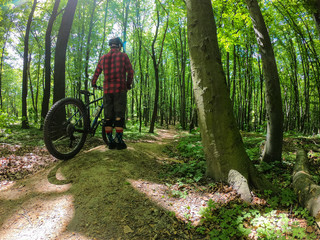 Naklejka premium Amateur rider on the bicycle in the spring park