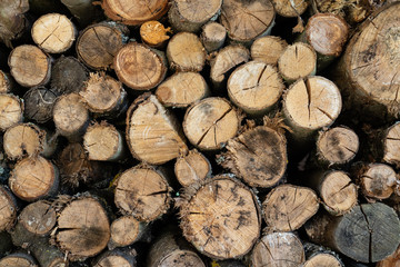 Stack of wood near fireplace