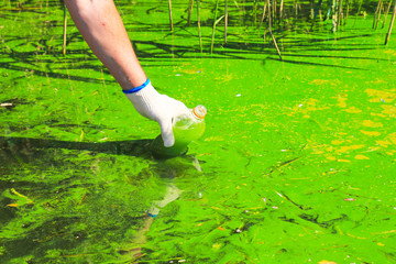 Global pollution of the environment and water. A man collects green water in a bottle for analysis. Water bloom, reproduction of phytoplankton, algae in the lake, river, poor ecology