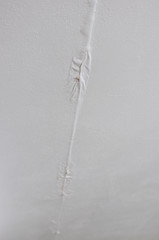 White textured wall paint with water damage