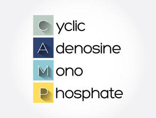 CAMP - Cyclic Adenosine MonoPhosphate acronym, medical concept background