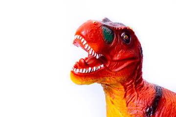 dinosaur portrait on white background close up