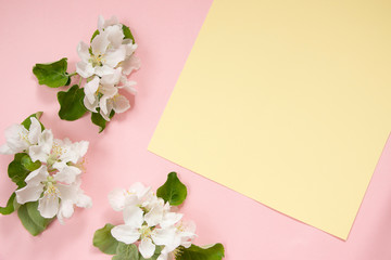 Creative layout with white flowers of apple tree on a pastel pink background with copy space. Nature background. Season minimal idea.