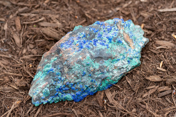 The accretion of Malachite and Azurite. Natural raw specimen of copper-based gemstones.