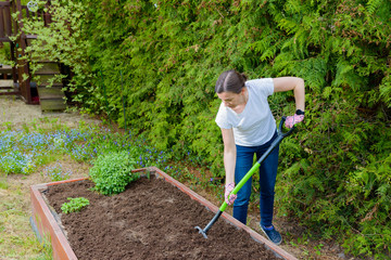 Woman loosening the soil with a pitchfork for growing vegetables and herbs in a wooden crate - a...
