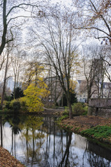 Fototapeta na wymiar river in Düsseldorf, view from the shore, late autumn - early winter. Germany