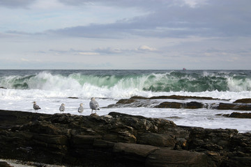 ocean waves