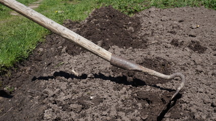 planting a garden. making beds with a hoe. chernozem