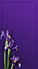 Iris Mockup vertical align. Post blog social media. Top view with blank space. Stylish trendy photography on purple background