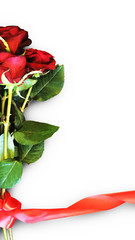 Huge bouquet of beautiful red roses on white background with red ribbon for mockups, templates, flyers, posters, stories