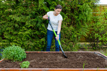 Woman loosening the soil with a pitchfork for growing vegetables and herbs in a wooden crate - a...