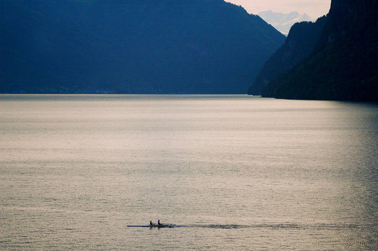 A pair of rowers glide through the calm waters of Lake Lucerne