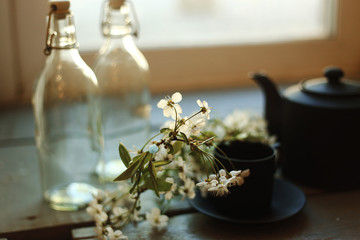 still life with bottle of champagne