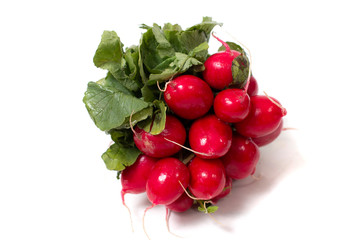 fresh organic european radish root