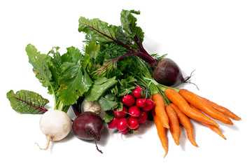fresh organic vegetable roots