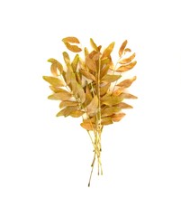 bouquet of golden autumn leaves