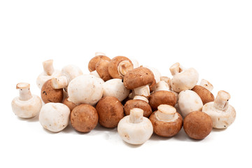 white and brown mushrooms