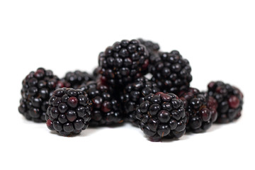 blackberries white background