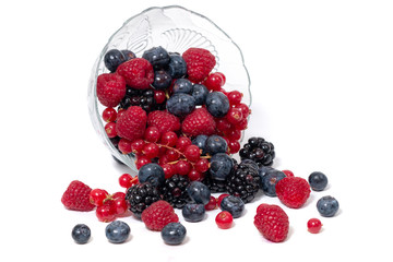 mix of fruit berries