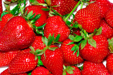 A plate with ripe red fresh strawberries in close-up against a white brick wall.