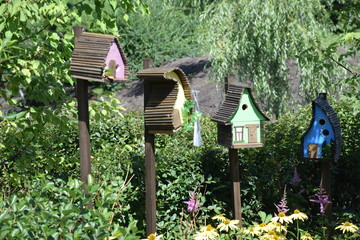 Astra Garden, Tyumen
