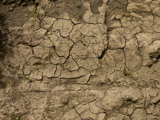dry land without water in the desert