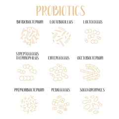 Probiotics. Lactic acid bacteria. Good bacteria and microorganisms for gut and intestinal flora health. Microbiome. Bifidobacterium, lactobacillus,  lactococcus, thermophilus streptococcus. Vector set