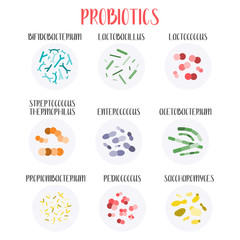 Probiotics. Lactic acid bacteria. Good bacteria and microorganisms for gut and intestinal flora health. Microbiome. Bifidobacterium, lactobacillus,  lactococcus, thermophilus streptococcus. Vector set