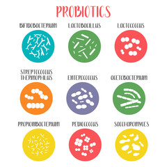 Probiotics. Lactic acid bacteria. Good bacteria and microorganisms for gut and intestinal flora health. Microbiome. Bifidobacterium, lactobacillus,  lactococcus, thermophilus streptococcus. Vector set