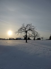sunset in the winter