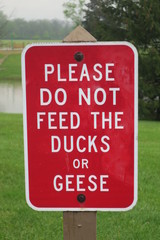 Please Do Not Feed The Ducks Or Geese Sign